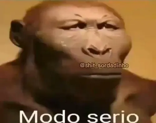 Parado aí, Macaco Louco! Bh, nãoyEstou sêndo oplimírio - iFunny Brazil