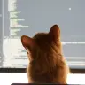 Software frisst ihre Kinder
