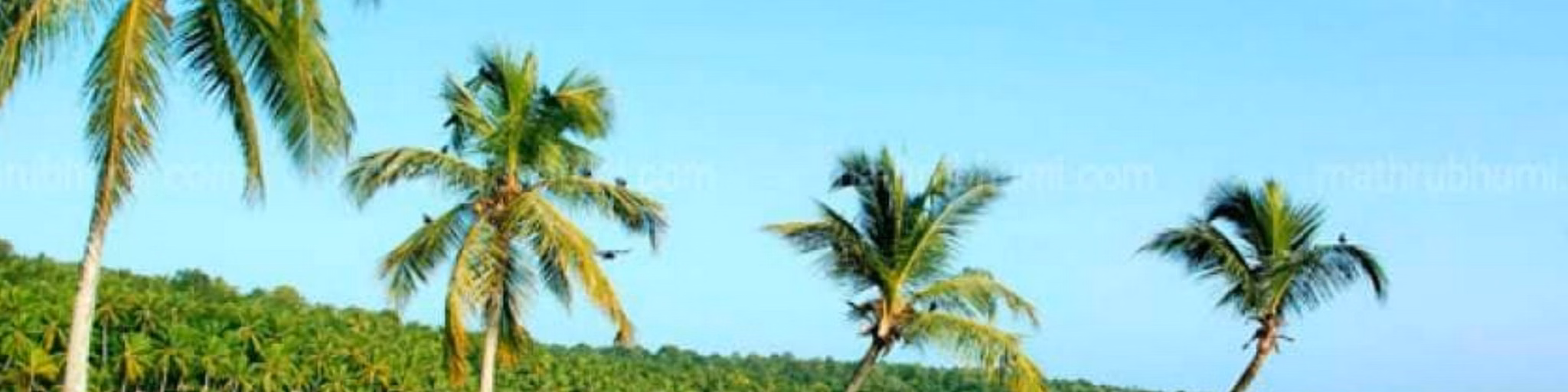 Vaikhari-Suprabhatham