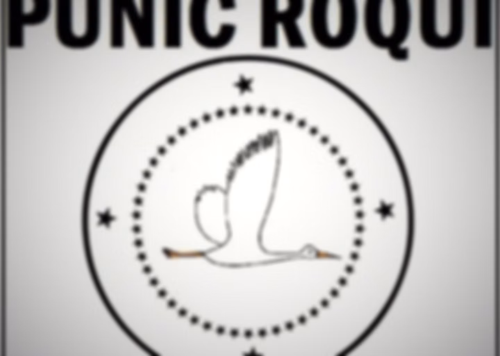 Punic Róqui