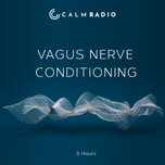 VAGUS NERVE CONDITIONING