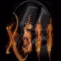 Radio X511