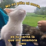 Jaime  lanza