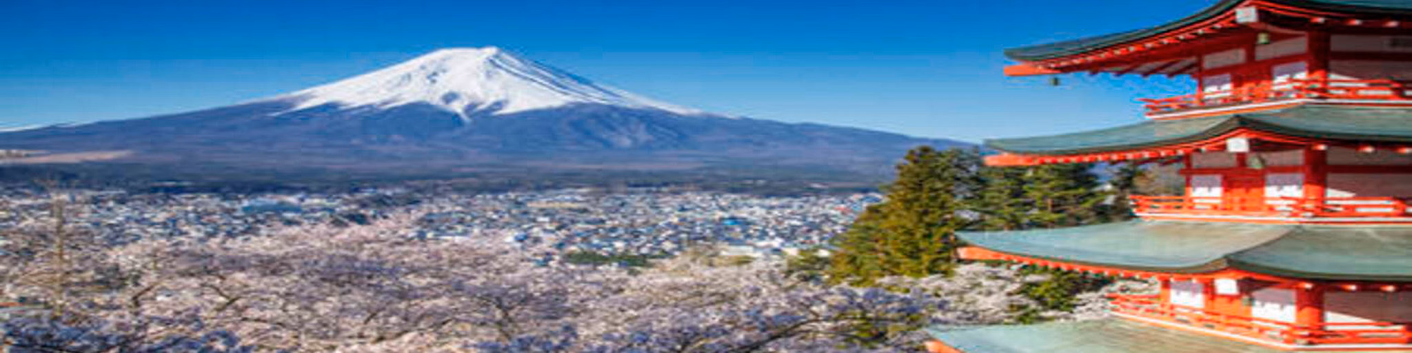 Japanimradio
