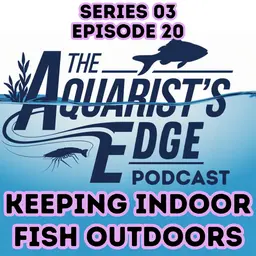 Keeping Indoor Fish Outdoors