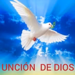 CIELOS ABIERTOS