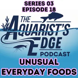 Unusual Everyday Foods You Can Safely Feed Freshwater Aquarium Fish