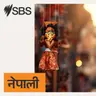 Australian News Headlines: Wednesday, 5 August 2026 - आजका प्रमुख समाचार: बुधवार, ५ अगस्ट २०२६