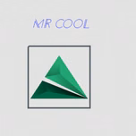 Mr cool