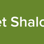 Bet Shalom