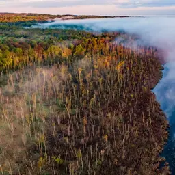 Ep. 81 - Keepin' Wetlands Wet: The Western NY Land Conservancy's Mission to Save Bear Lake
