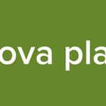 nova play