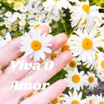 Viva O Amor - Lourdes Roim