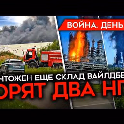 Майкл Наки