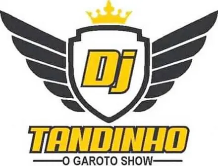 DJ TANDINHO O GAROTO SHOW