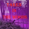 Steph Young talks about Taken in the Woods - August 22, 2015