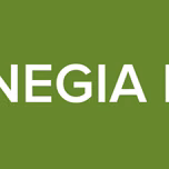 RADIO ENEGIA DEL PERU