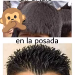 Corridos