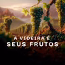 A videira e seus frutos - Pr. Ismael Soares