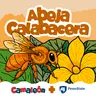 ✨Reposición✨ Abeja Calabacera: solitaria excavadora