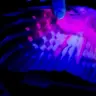 Glowing Feathers