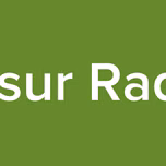 El sur Radio