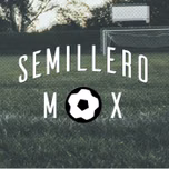 SEMILLERO MX