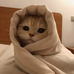 lilsnobol