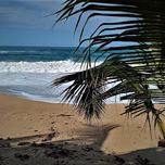 El Ritmo Tropical