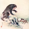 EP 351: Japan- The Quarrel of The Monkey and The Crab (Ozaki)