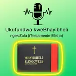 IBhayibheli Elingcwele ngesiZulu