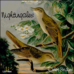 Nightingales