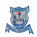 Great Success Comprehensive College