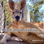 URL samp