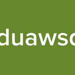 asduawsdfa