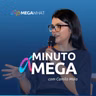 A incerteza do encargo das baterias e o que ela custa para o leilão
