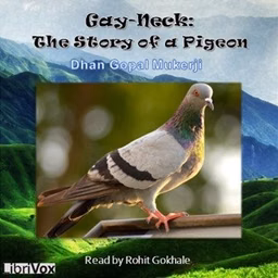 Gay-Neck: The Story of a Pigeon by Dhan Gopal Mukerji (1890 - 1936)