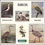 Birds, Vol. III, No 5, May 1898 by Various