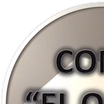 Curso de Precursores Regulares y Auxiliares