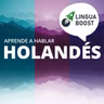 Hablar del tiempo de hoy en holandés | Lección 19