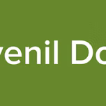 Radio Juvenil Dominicana