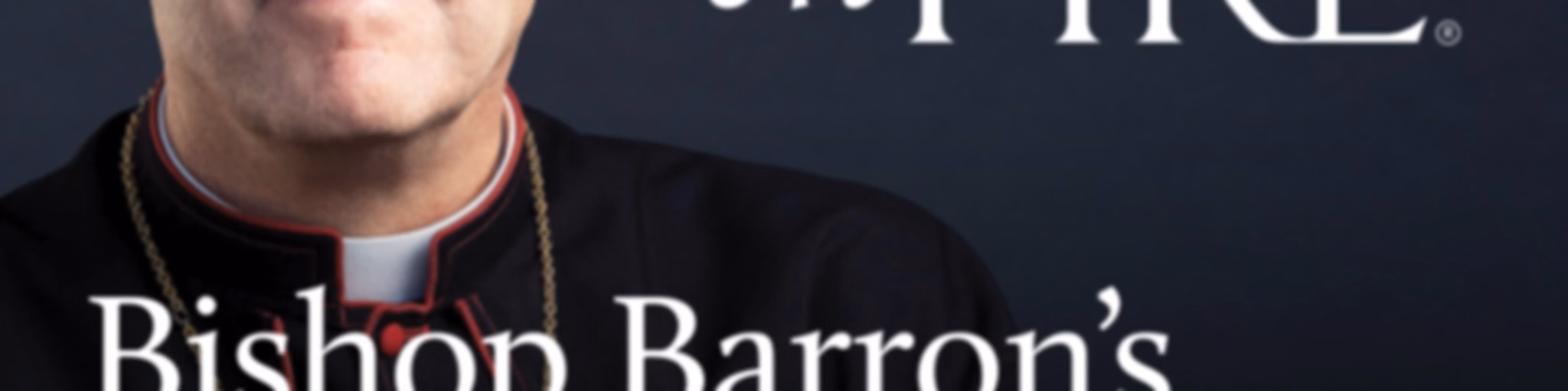 Bishop Barron’s Sunday Sermons - Catholic Preaching and Homilies