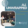 #19 Why the human consultant becomes more relevant through AI, with Frank De Weser (Syntegro)
