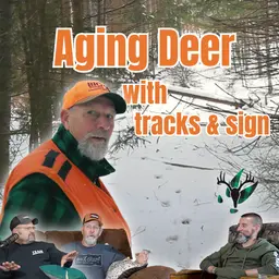 Aging Deer With Tracks and Sign | Big Woods Bucks Podcast Ep 201