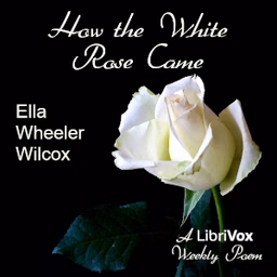 How The White Rose Came