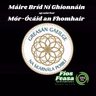 Máire Bríd Ní Ghionnáin - Gréasán Gaeilge na hEarnála Poiblí