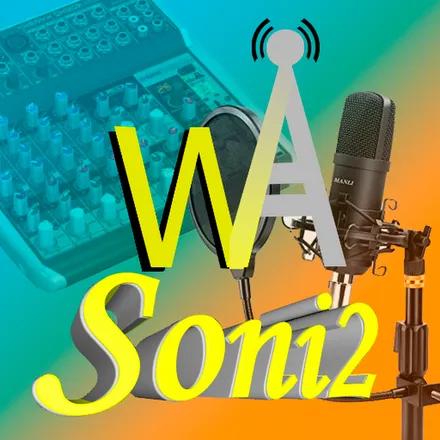 WAsoni2