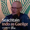 Wexford: Cén saghas Gaeilge a labhraíodh i nGaeltacht Loch Garman?
