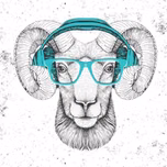 IrizMuzik