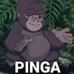 Mueve el toto
